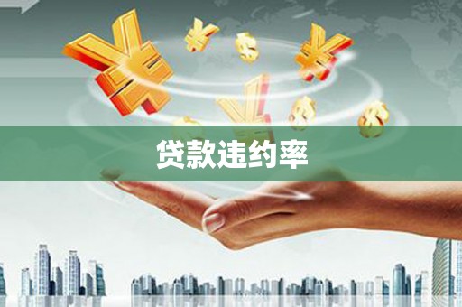 大内贷款违约率