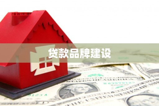 大内贷款品牌建设