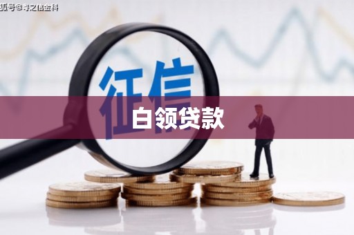 大内白领贷款