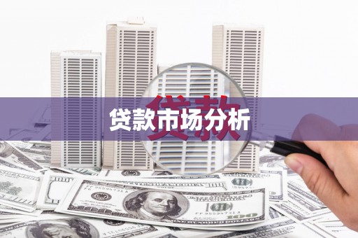 大内贷款市场分析