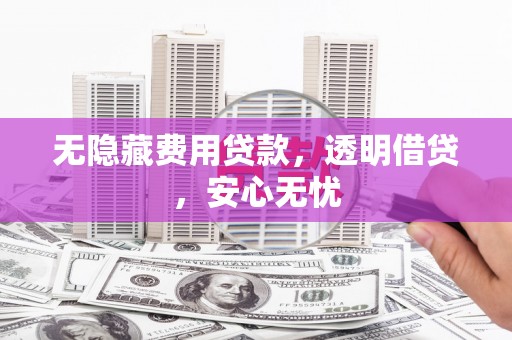 大内无隐藏费用贷款，透明借贷，安心无忧