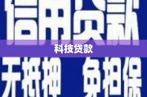 大内科技贷款