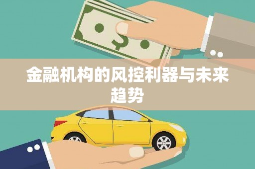 大内金融机构的风控利器与未来趋势