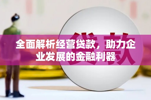 大内全面解析经营贷款，助力企业发展的金融利器