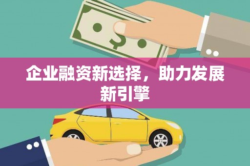 大内企业融资新选择，助力发展新引擎