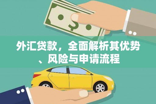 大内外汇贷款，全面解析其优势、风险与申请流程