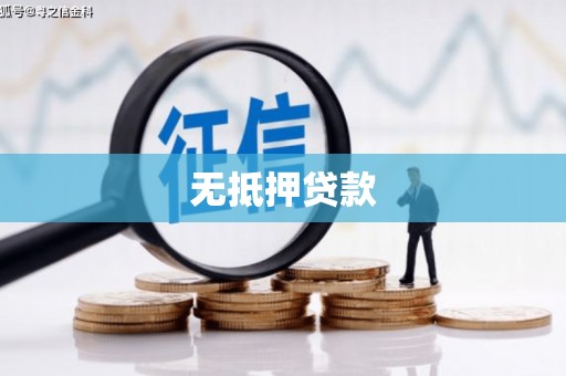 大内无抵押贷款