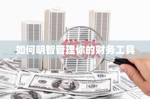 大内如何明智管理你的财务工具