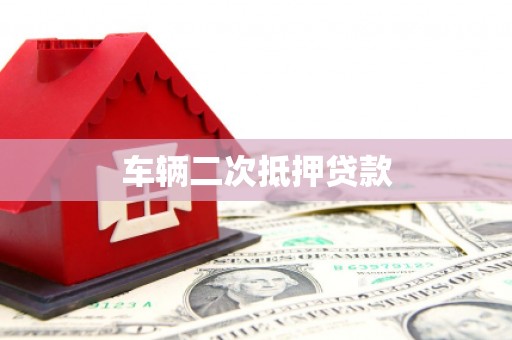 大内车辆二次抵押贷款