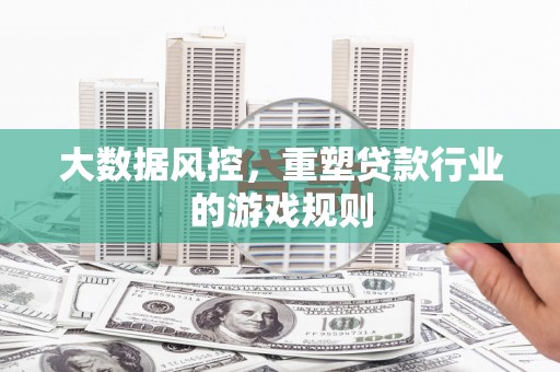 大内大数据风控，重塑贷款行业的游戏规则