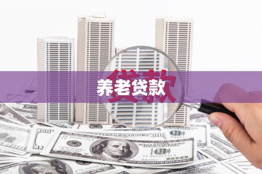 大内养老贷款