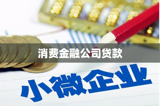 大内消费金融公司贷款