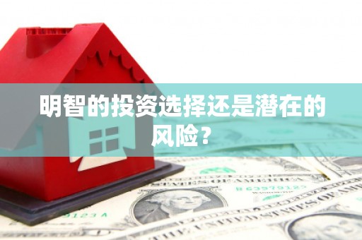 大内明智的投资选择还是潜在的风险？