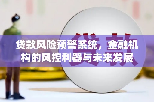 大内贷款风险预警系统，金融机构的风控利器与未来发展