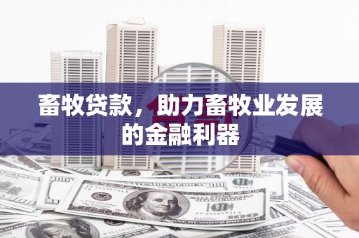大内畜牧贷款，助力畜牧业发展的金融利器
