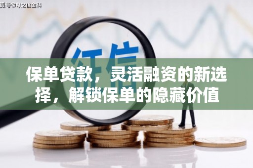 大内保单贷款，灵活融资的新选择，解锁保单的隐藏价值