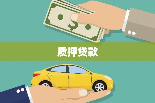 大内质押贷款