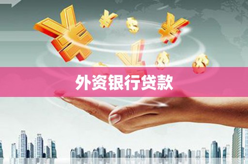 大内外资银行贷款