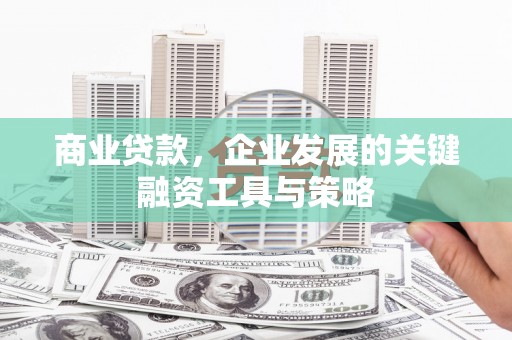 大内商业贷款，企业发展的关键融资工具与策略