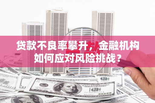 大内贷款不良率攀升，金融机构如何应对风险挑战？