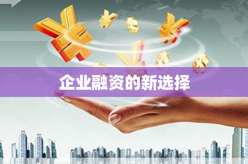 大内企业融资的新选择