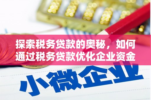 大内探索税务贷款的奥秘，如何通过税务贷款优化企业资金流