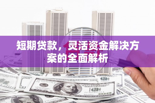 大内短期贷款，灵活资金解决方案的全面解析
