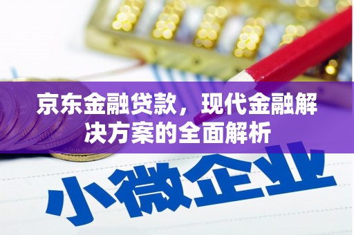 大内京东金融贷款，现代金融解决方案的全面解析