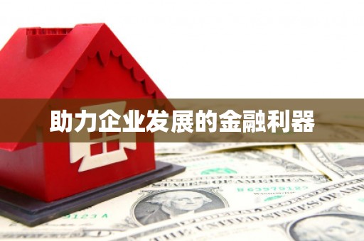 大内助力企业发展的金融利器