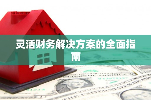 大内灵活财务解决方案的全面指南