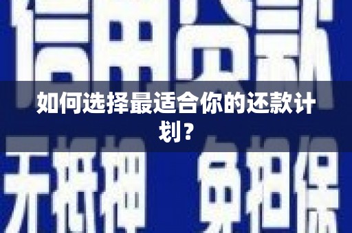 大内如何选择最适合你的还款计划？