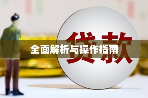 大内全面解析与操作指南
