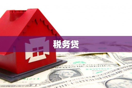 大内税务贷