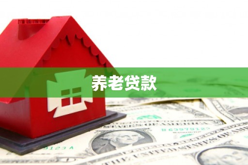 大内养老贷款