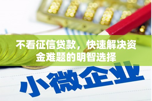 大内不看征信贷款，快速解决资金难题的明智选择