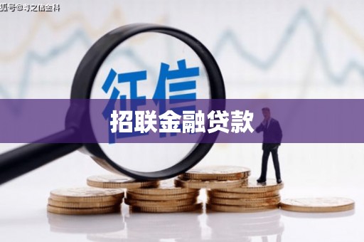 大内招联金融贷款