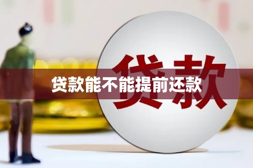 大内贷款能不能提前还款