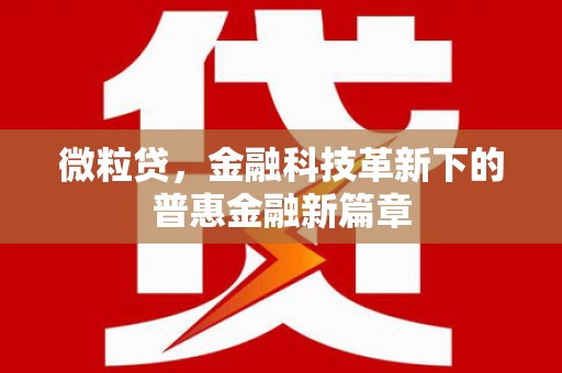 大内微粒贷，金融科技革新下的普惠金融新篇章