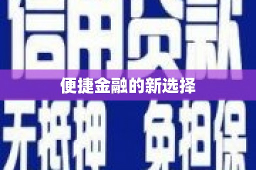 大内便捷金融的新选择