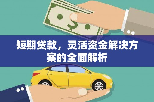 大内短期贷款，灵活资金解决方案的全面解析
