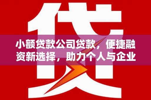 大内小额贷款公司贷款，便捷融资新选择，助力个人与企业成长