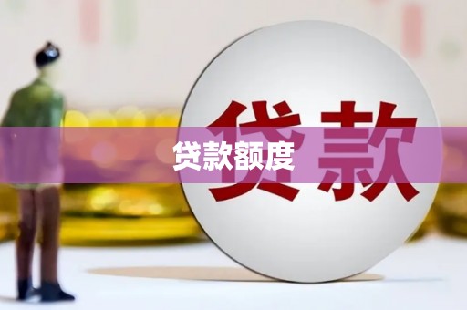 大内贷款额度