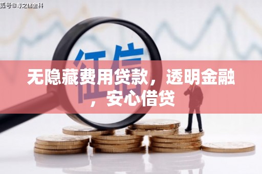 大内无隐藏费用贷款，透明金融，安心借贷