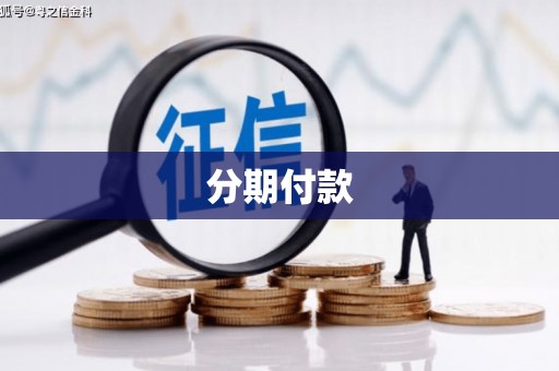 大内分期付款