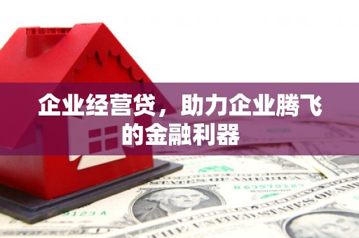 大内企业经营贷，助力企业腾飞的金融利器