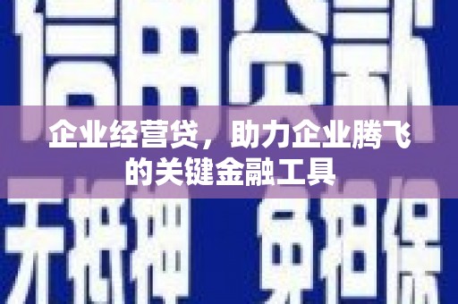 大内企业经营贷，助力企业腾飞的关键金融工具