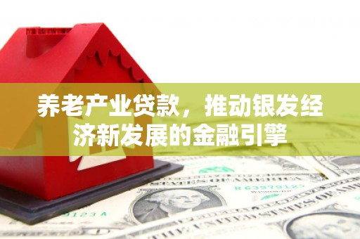 大内养老产业贷款，推动银发经济新发展的金融引擎