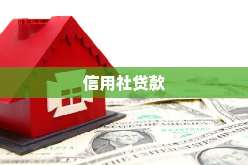 大内信用社贷款