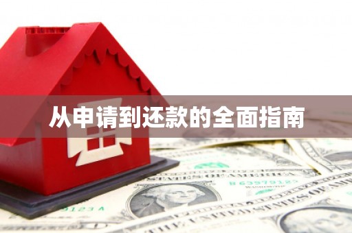大内从申请到还款的全面指南