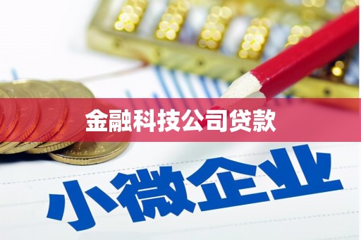 大内金融科技公司贷款